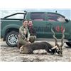 Image 5 : CATENA SAFARIS ARGENTINA: Argentina 5-day Big Game Hunt for 4 Hunters and 4 Animals