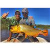 Image 4 : Argentina Free Range Hunt and Golden Dorado Fishing with Catena Safaris