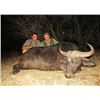 Image 1 : 10-Day South African Cape Buffalo Cow Safari for One Hunter and One Observer