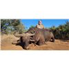 Image 5 : 10-Day South African Cape Buffalo Cow Safari for One Hunter and One Observer