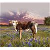 Image 1 : Silver Shades of Beauty