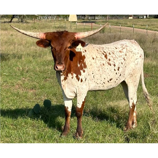 SUB: LM TOP SHELF SPARGERITA