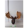 Image 1 : Ceramic Wall Mounted Moosehead 13" Tall x 15.25" Wide