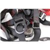 Image 2 : (2) Nylon Shoulder Harnesses