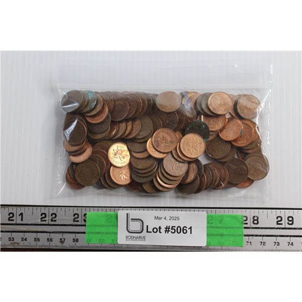 Canadian & US 1 Cent Coins