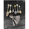 Image 1 : Variety of Collectors Spoons