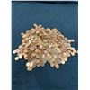 Image 1 : 4.6 lbs Canadian Pennies