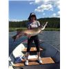 Image 2 : Canadian Fishing Trip for Two on Reindeer Lake - Lawrence Bay Lodge