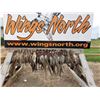 Image 3 : 20 Bird Pheasant Hunt & Sporting Clays for 4 Shooters - Wings North