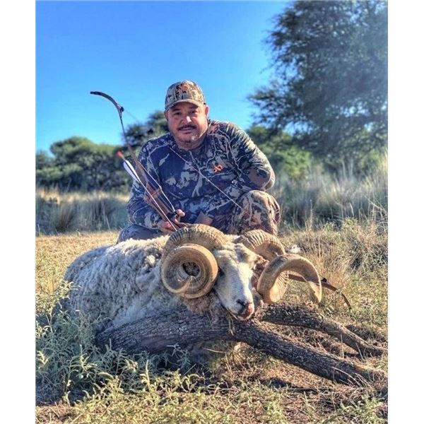 Argentina Blackbuck, 2-Wild Boar, Patagonic Ram for 4 Hunters