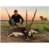 Image 2 : Argentina Blackbuck, 2-Wild Boar, Patagonic Ram for 4 Hunters