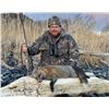 Image 3 : 5-Day/6-Night Kodiak Trophy Sea Duck, Sitka Black-tailed Deer, and Fox Hunt for Two