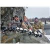 Image 5 : 5-Day/6-Night Kodiak Trophy Sea Duck, Sitka Black-tailed Deer, and Fox Hunt for Two