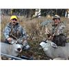 Image 1 : High Country Mule Deer in Wyoming – Morning Creek Outfitters – John Porter