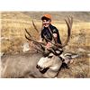 Image 2 : High Country Mule Deer in Wyoming – Morning Creek Outfitters – John Porter