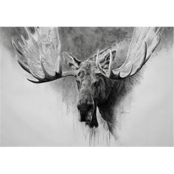 Moose – Beautifully Framed 30” x 40” Print – Joshua Spies Fine A