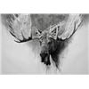 Image 1 : Moose – Beautifully Framed 30” x 40” Print – Joshua Spies Fine A