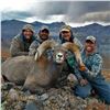 Image 3 : WYOMING ROCKY MOUNTAIN BIGHORN SHEEP LICENSE – WY GFD