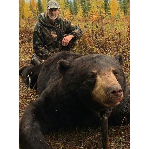 Guided Black Bear Hunt in MN - Minnesota Big Bear Specialist