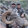 Image 1 : 10-Day Sonora Desert Bighorn Sheep - Sierra El Alamo Alcampo Hunting Adventures