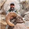 Image 4 : 10-Day Sonora Desert Bighorn Sheep - Sierra El Alamo Alcampo Hunting Adventures