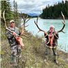 Image 4 : Trophy Alberta Elk Rut Hunt - Sherwood Outfitters