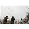 Image 3 : Dove Shooting in Argentina for Four Hunters – David Denies - 2025 or 2026