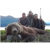 Image 2 : 9-Day Alaska Brown/Grizzly Bear, Black Bear, and Wolf Combo Hunt for One Hunter