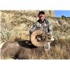 Image 3 : 2025 NORTH DAKOTA ROCKY MOUNTAIN BIGHORN SHEEP LICENSE – ND G&FD