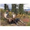 Image 3 : North America’s Finest Alaskan Moose Hunting – High Country Alaska – Jeff