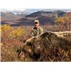 Image 4 : North America’s Finest Alaskan Moose Hunting – High Country Alaska – Jeff
