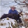 Image 3 : Chamois Choice of Romania or Slovenia or North Macedonia