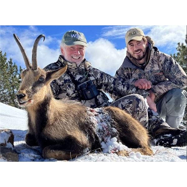 Spanish Pyrenes Chamois Hunt, Barcelona Tour, & Wine Tasting