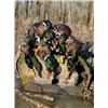 Image 2 : North Dakota Waterfowl Hunt – Coldwater Outfitters