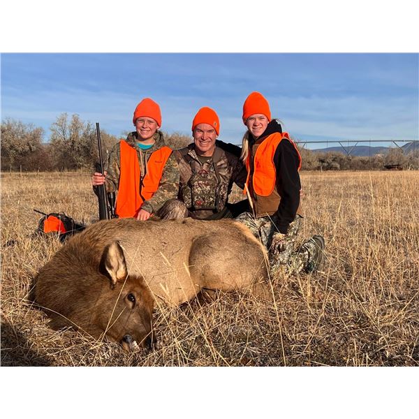 Cow Elk Hunt in Utah  - Lickity Split Outfitters