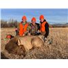 Image 1 : Cow Elk Hunt in Utah  - Lickity Split Outfitters