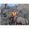 Image 2 : Cow Elk Hunt in Utah  - Lickity Split Outfitters