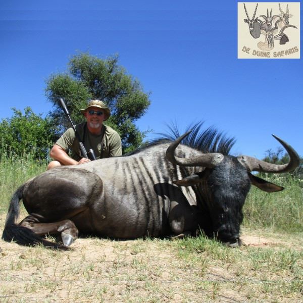 South Africa Blue Wildebeest and Impala Hunt for Two