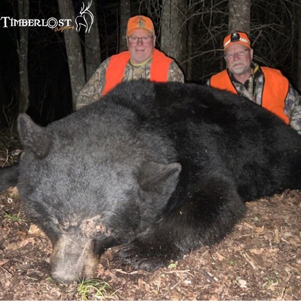 Saskatchewan Trophy Black Bear Hunt and Fishing Trip