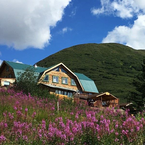 One Week of Lodging for Two at Alpine Creek Lodge for DIY Spring Bear Hunt