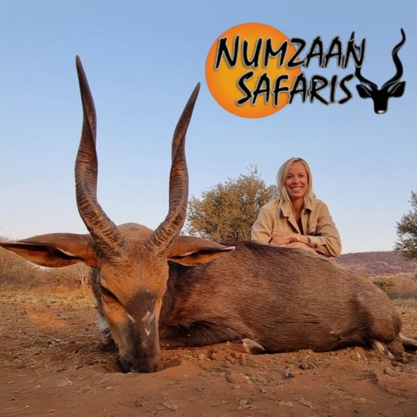 South African Seven Day Hunt for Two Including One Bushbuck per hunter