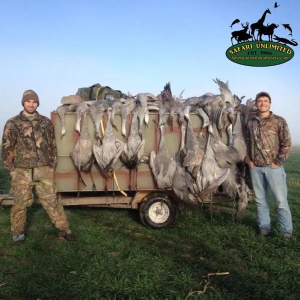 Three Day Texas Sandhill Crane Hunt for Two