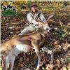 Image 1 : Missouri Archery Whitetail Deer Hunt for Two