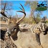 Image 1 : Sonora Coues Deer Hunt for Two