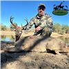 Image 3 : Sonora Coues Deer Hunt for Two
