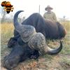 Image 2 : South Africa Seven-Day Cape Buffalo Safari