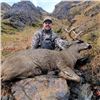 Image 3 : One Week Stay For Six in South Kodiak Island Private Hunt Cabin