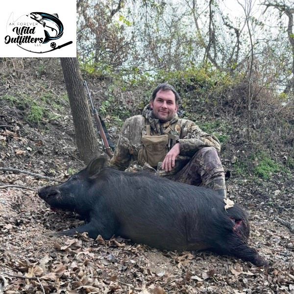 Three Day Thermal Texas Hog Hunt for Four Hunters