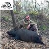 Image 1 : Three Day Thermal Texas Hog Hunt for Four Hunters