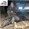 Image 3 : Three Day Thermal Texas Hog Hunt for Four Hunters